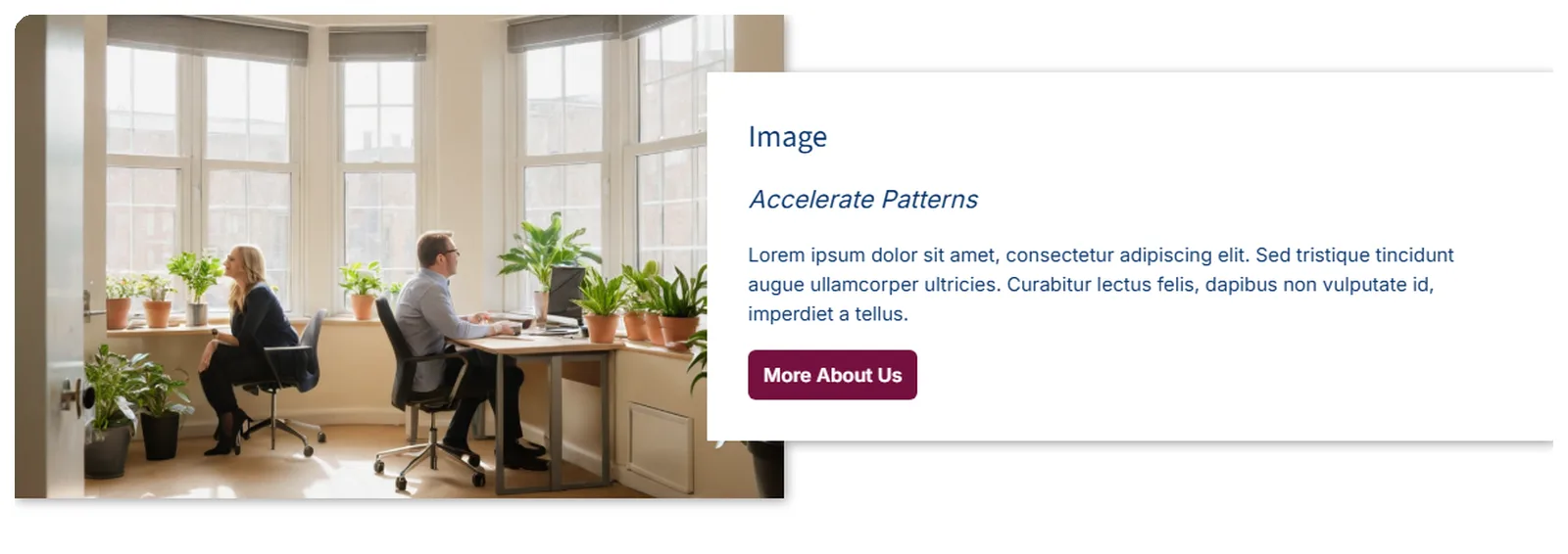 Image Inset